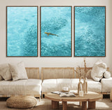 43671474-MGV-CV-36X24-Fish Swarm Wall Art Canvas Print, Framed Marine Life Art Picture Print, Shark Aerial Perfect Wildlife Coastal Decor Artwork
