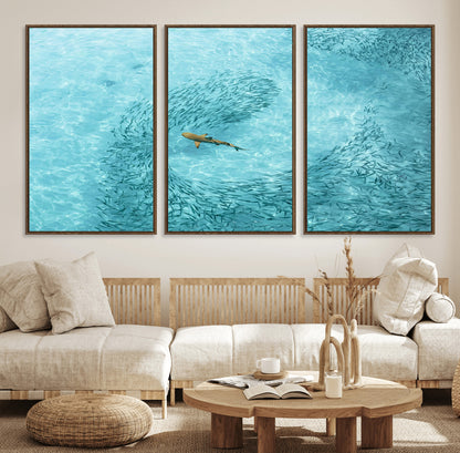 43671474-MGV-FC-60X30-3P_Walnut-Fish Swarm Wall Art Canvas Print, Framed Marine Life Art Picture Print, Shark Aerial Perfect Wildlife Coastal Decor Artwork