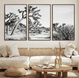 88164251-MGV-CV-36X24-Joshua Tree Wall Art Canvas Print, Framed Desert Path Art Picture Print, Monochrome Desert Perfect Minimalist Desert Decor Artwork