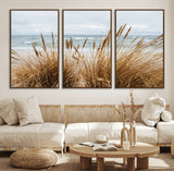 14270839-MGV-CV-36X24-Beach Grass Wall Art Canvas Print, Framed Coastal Dunes Art Picture Print, Dune Grass Perfect Coastal Minimalist Decor Artwork