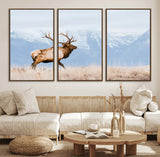 96024025-MGV-FC-60X30-3P_Walnut-Elk Photography Wall Art Canvas Print, Framed Mountain Wildlife Art Picture Print, Rustic Lodge Decor Perfect Rustic Lodge Decor