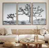 29996209-MGV-FC-60X30-3P_Walnut-Joshua Tree Art Wall Art Canvas Print, Framed Black White Landscape Art Picture Print, Desert Tree Decor Perfect Southwestern Boho