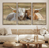 53388593-MGV-CV-36X24-Cow Photography Wall Art Canvas Print, Framed Rustic Animal Decor Art Picture Print, Texas Cow Pair Perfect Western Farmhouse