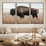 34451925-MGV-CV-36X24-Rustic Bison Decor Wall Art Canvas Print, Framed Buffalo Home Accent Art Picture Print, Prairie Wildlife Scene Perfect Western