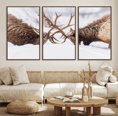 36507609-MGV-CV-36X24-Elk Clash Scene Wall Art Canvas Print, Framed Wildlife Strength Decor Art Picture Print, Snowy Forest Elk Perfect Rustic Lodge