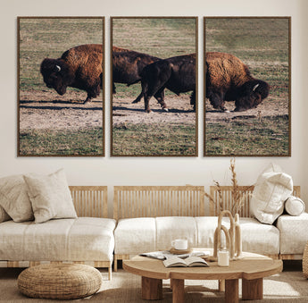 58141885-MGV-FC-60X30-3P_Walnut-Bison Photography Wall Art Canvas Print, Framed Western Wildlife Art Picture Print, Modern Ranch Perfect Western Rustic Decor