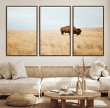 61392510-MGV-FC-60X30-3P_Walnut-Buffalo Wall Art Wall Art Canvas Print, Framed Western Wildlife Decor Art Picture Print, Rustic Farmhouse Art Perfect Rustic