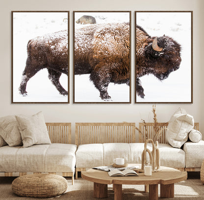 94261165-MGV-FC-60X30-3P_Walnut-Snowy Buffalo Wall Art Canvas Print, Framed Wildlife Photography Art Picture Print, Brown Tones Perfect Rustic Lodge Decor Decor