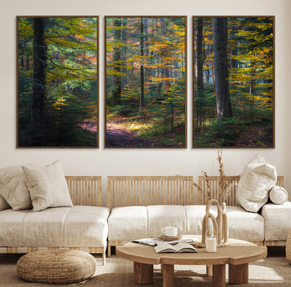 65810864-MGV-FC-60X30-3P_Walnut-Autumn Forest Wall Art Canvas Print, Framed Fall Woodland Art Picture Print, Golden Leaves Perfect Rustic Farmhouse Decor Artwork