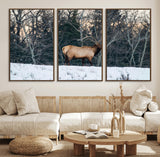 36533178-MGV-FC-60X30-3P_Walnut-Wild Elk Photography Wall Art Canvas Print, Framed Winter Wildlife Art Picture Print, Snowy Forest Perfect Rustic Lodge Decor