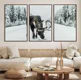13316292-MGV-FC-60X30-3P_Walnut-Moose in Snow Wall Art Canvas Print, Framed Winter Wildlife Art Picture Print, Snowy Forest Scene Perfect Rustic Lodge Decor