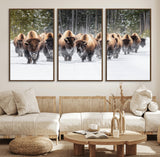96906195-MGV-FC-60X30-3P_Walnut-Bison Herd Wall Art – American Buffalo Wildlife Photography Canvas Print, Winter Snow Scene Western Nature Decor for Living Room,