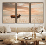 20306324-MGV-FC-60X30-3P_Walnut-Bison Wall Art – Lone American Buffalo Prairie Sunset Canvas Print, Rustic Western Wildlife Photography Decor for Living Room,