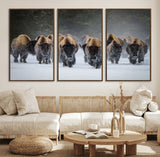 30332489-MGV-FC-60X30-3P_Walnut-Winter Bison Herd Wall Art – Powerful Buffalo Canvas Print, Rustic Wildlife Photography Decor for Farmhouse, Cabin, Lodge, Living