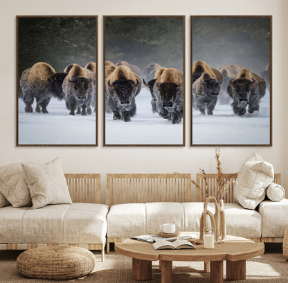 30332489-MGV-FC-60X30-3P_Walnut-Winter Bison Herd Wall Art – Powerful Buffalo Canvas Print, Rustic Wildlife Photography Decor for Farmhouse, Cabin, Lodge, Living