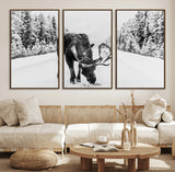 38956835-MGV-CV-36X24-Moose Wall Art – Black and White Wildlife Canvas Print with Snowy Forest Road, Rustic Nature Photography for Cabin, Lodge, Living