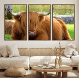 68411138-MGV-FC-60X30-3P_Walnut-Farmhouse Wall Art – Highland Cow Canvas Print, Rustic Country Cattle Photography Decor for Bedroom, Living Room, Office, Ranch,