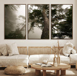 87969493-MGV-CV-36X24-Forest Wall Art – Misty Tall Trees Canvas Print, Dramatic Woodland Photography Decor for Bedroom, Living Room, Office, Cabin,