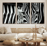 43631-MGV-FC-60X30-3P_Walnut-Black and White Zebra Wall Art – Modern Animal Print Canvas Artwork for Living Room, Bedroom, or Office Decor