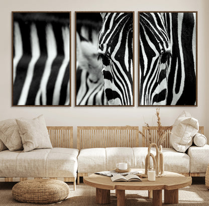 43631-MGV-FC-60X30-3P_Walnut-Black and White Zebra Wall Art – Modern Animal Print Canvas Artwork for Living Room, Bedroom, or Office Decor