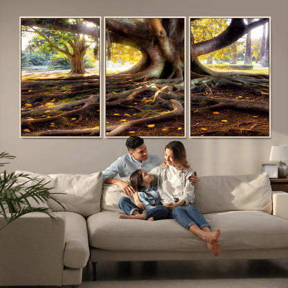 53335-MGV-CV-36X24-Majestic Tree with Sprawling Roots Wall Art – Serene Sunlit Park Scene, Nature Canvas Print, Perfect for Living Room, Office or