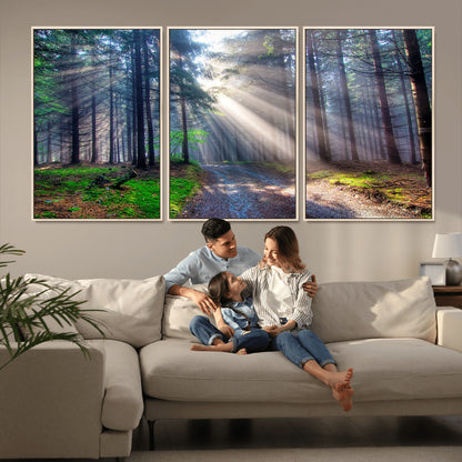 42047-MGV-CV-36X24-Sunlit Forest Path Wall Art – Nature Canvas Print, Serene Woodland Landscape, Perfect Home & Office Decor for Calm and Tranquil