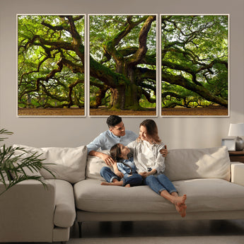 29407-MGV-FC-60X30-3P_Natural-Ancient Oak Tree Wall Art – Majestic Nature Canvas Print, Large Tree Photography Decor for Living Room