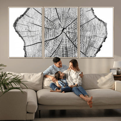 98709-MGV-FC-60X30-3P_Natural-Tree Ring Wall Art – Black and White Canvas Print Rustic Wood Cross Section, Minimal Nature Inspired Decor for Living Room,