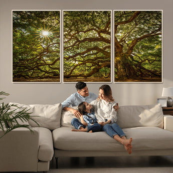 57983-MGV-FC-60X30-3P_Natural-Angel Oak Tree Wall Art Canvas Print, Framed Oak Tree Art Picture Print, Angel Oak Perfect Rustic Nature Decor Artwork