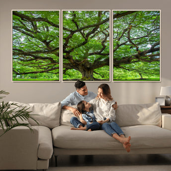 49375306-MGV-CV-36X24-Ancient Tree Wall Art Canvas Print, Framed Sprawling Branches Art Picture Print, Gnarling Tree Perfect Earthy Natural Decor