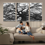 81655611-MGV-CV-36X24-Ancient Oak Wall Art Canvas Print, Framed Twisted Branches Art Picture Print, Gnarled Tree Perfect Moody Nature Decor Artwork