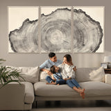 98921313-MGV-FC-60X30-3P_Natural-Tree Ring Wall Art Canvas Print, Framed Wood Slice Art Picture Print, Minimalist Wood Perfect Rustic Academic Decor Artwork
