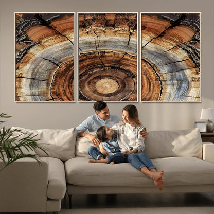 15184146-MGV-CV-36X24-Tree Rings Wall Art Canvas Print, Framed Wood Texture Art Picture Print, Rustic Pattern Perfect Rustic Organic Decor Artwork