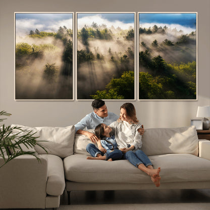 14785710-MGV-CV-36X24-Tranquil Forest Scene Wall Art Canvas Print, Framed Sunbeam Through Trees Art Picture Print, Moody Green Wall Art Perfect