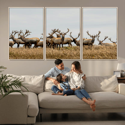 42170220-MGV-CV-36X24-Elk Herd Wall Art Canvas Print, Framed Wildlife Photography Art Picture Print, Majestic Antlers Perfect Rustic Wildlife Decor