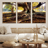 53335-MGV-FC-60X30-3P_Natural-Majestic Tree with Sprawling Roots Wall Art – Serene Sunlit Park Scene, Nature Canvas Print, Perfect for Living Room, Office or