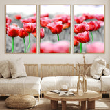 44554-MGV-FC-60X30-3P_Natural-Vibrant red tulips stand out beautifully against a black-and-white background, making a striking decor piece perfect for any home