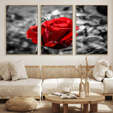 84671-MGV-FC-60X30-3P_Natural-Red Rose Wall Art – Vibrant Single Bloom Canvas Print with Black and White Background, Elegant Floral Decor for Living Room,