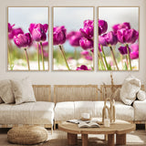 30632-MGV-FC-60X30-3P_Natural-Purple Tulip Field Wall Art – Beautiful Spring Flowers Canvas Print with Soft Focus and Bright Sky, Ideal Floral Decor for Home or