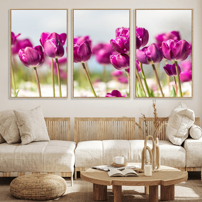 30632-MGV-FC-60X30-3P_Natural-Purple Tulip Field Wall Art – Beautiful Spring Flowers Canvas Print with Soft Focus and Bright Sky, Ideal Floral Decor for Home or