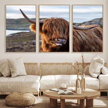 71222-MGV-CV-36X24-A playful Highland cow with shaggy fur sticks out its tongue, set against a rugged landscape — perfect for quirky home or office