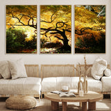 19067-MGV-FC-60X30-3P_Natural-Golden Canopy Wall Art – Panoramic Autumn Tree Canvas Print, Warm Seasonal Decor for Living Room, Office or Garden Space