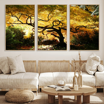 19067-MGV-FC-60X30-3P_Natural-Golden Canopy Wall Art – Panoramic Autumn Tree Canvas Print, Warm Seasonal Decor for Living Room, Office or Garden Space
