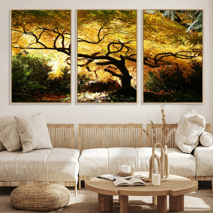 19067-MGV-FC-60X30-3P_Natural-Golden Canopy Wall Art – Panoramic Autumn Tree Canvas Print, Warm Seasonal Decor for Living Room, Office or Garden Space