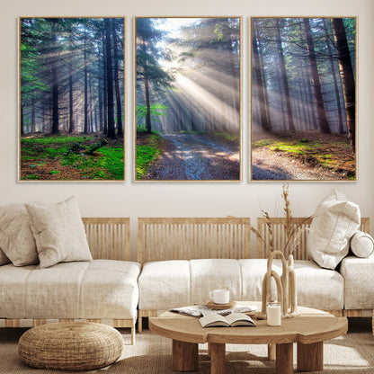 42047-MGV-FC-60X30-3P_Natural-Sunlit Forest Path Wall Art – Nature Canvas Print, Serene Woodland Landscape, Perfect Home & Office Decor for Calm and Tranquil