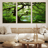 18094-MGV-FC-60X30-3P_Natural-Emerald Canopy Wall Art – Panoramic Lush Green Tree Canvas Print, Serene Nature Decor for Office, Living Room or Meditation Space