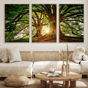 52150-MGV-FC-60X30-3P_Natural-Majestic Tree Wall Art – Large Nature Canvas Print with Sunlight Through Branches, Rustic Forest Decor for Living Room, Bedroom or