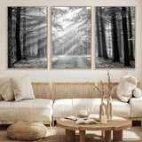 39665-MGV-FC-60X30-3P_Natural-Black and White Forest Path Wall Art – Sunlight Rays in Trees Canvas Print, Nature Landscape Decor for Living Room or Office
