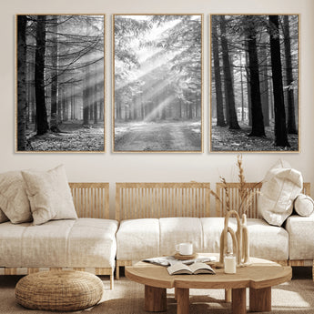 39665-MGV-FC-60X30-3P_Natural-Black and White Forest Path Wall Art – Sunlight Rays in Trees Canvas Print, Nature Landscape Decor for Living Room or Office