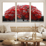 80021-MGV-FC-60X30-3P_Natural-Red Tree Wall Art – Striking Black and White Landscape Canvas Print with Vibrant Red Leaves, Modern Nature Decor for Living Room